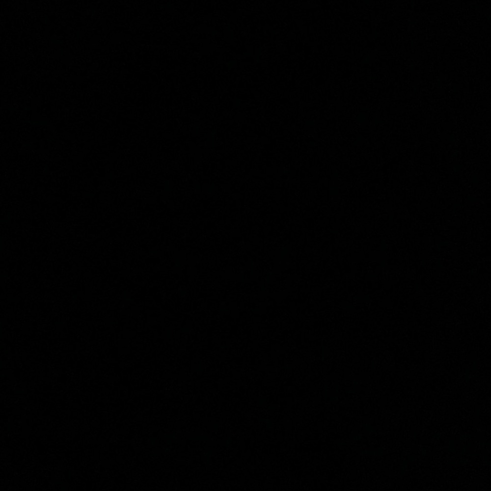 Meet your Posher, Hanin